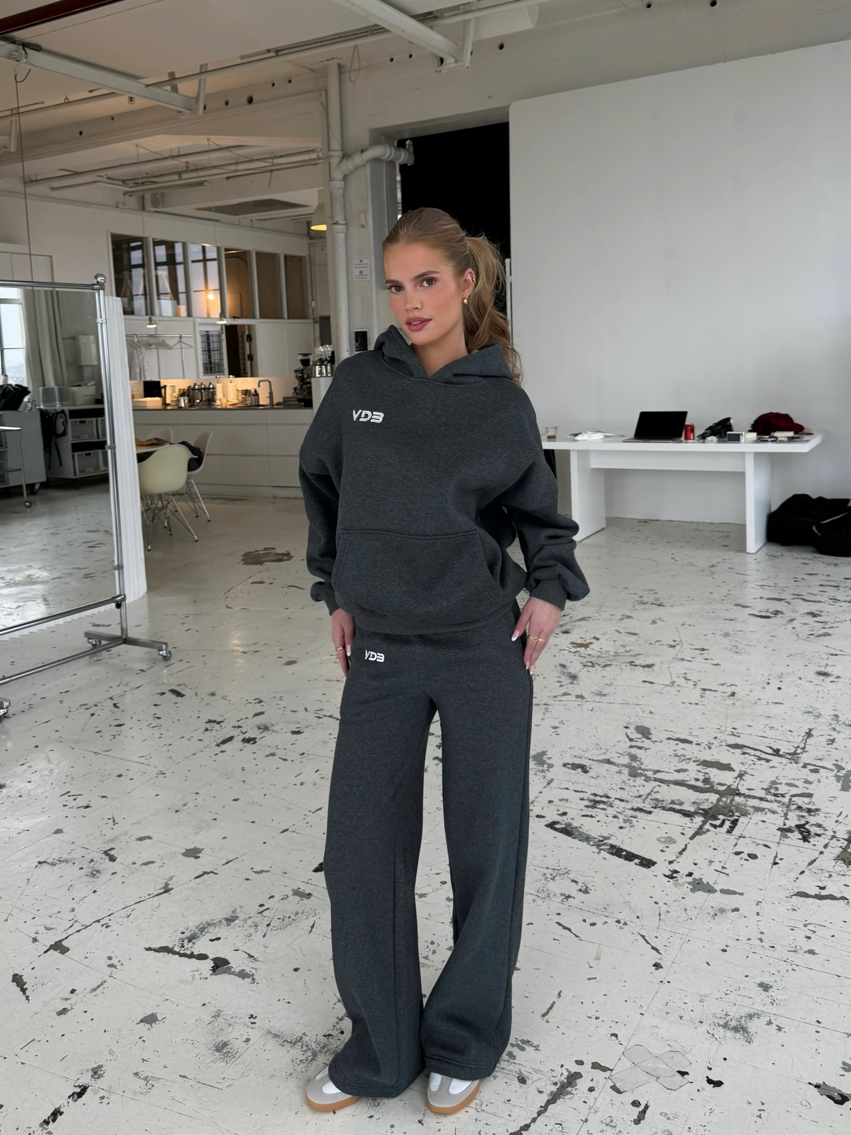 VDB Hoodie - dark gray melange - Image 3